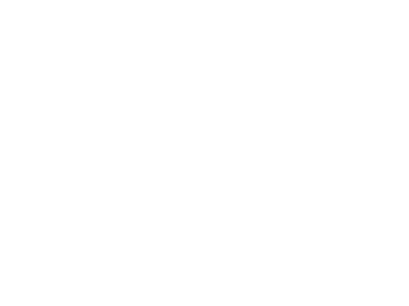 L&M Tech solutions
